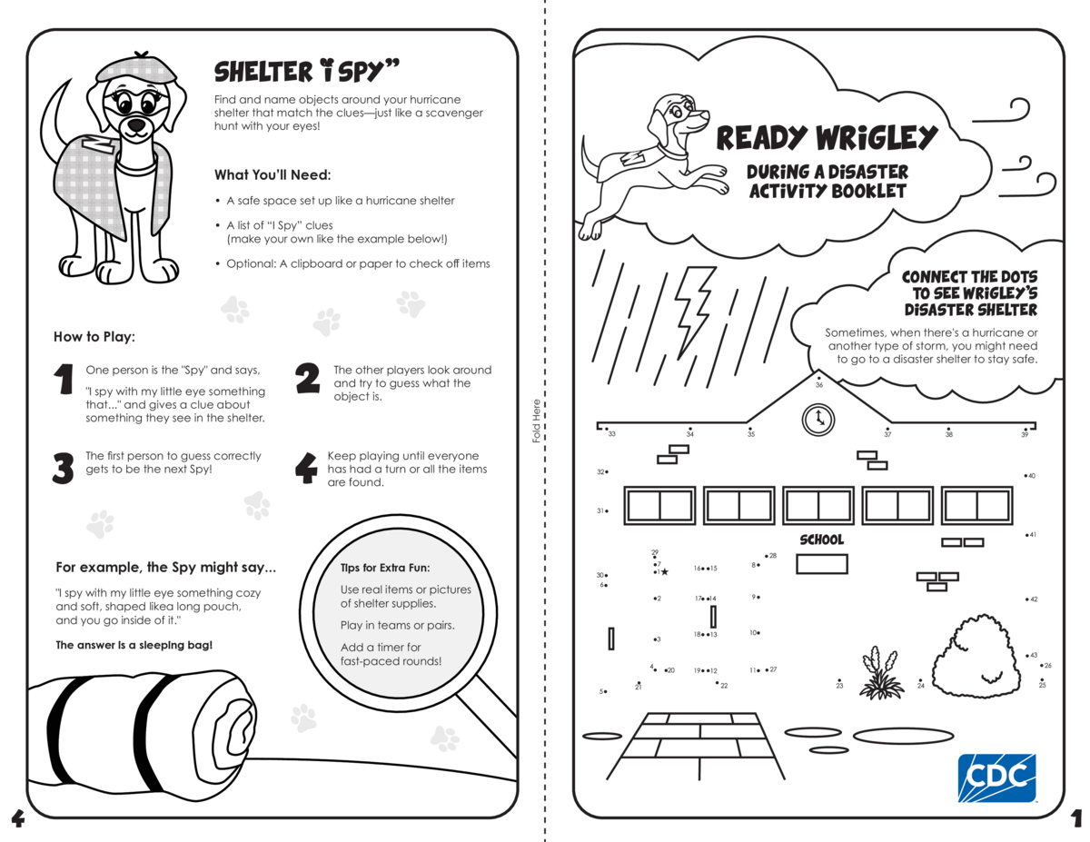 Ready Wrigley During a Storm Activity Book -Print Only
