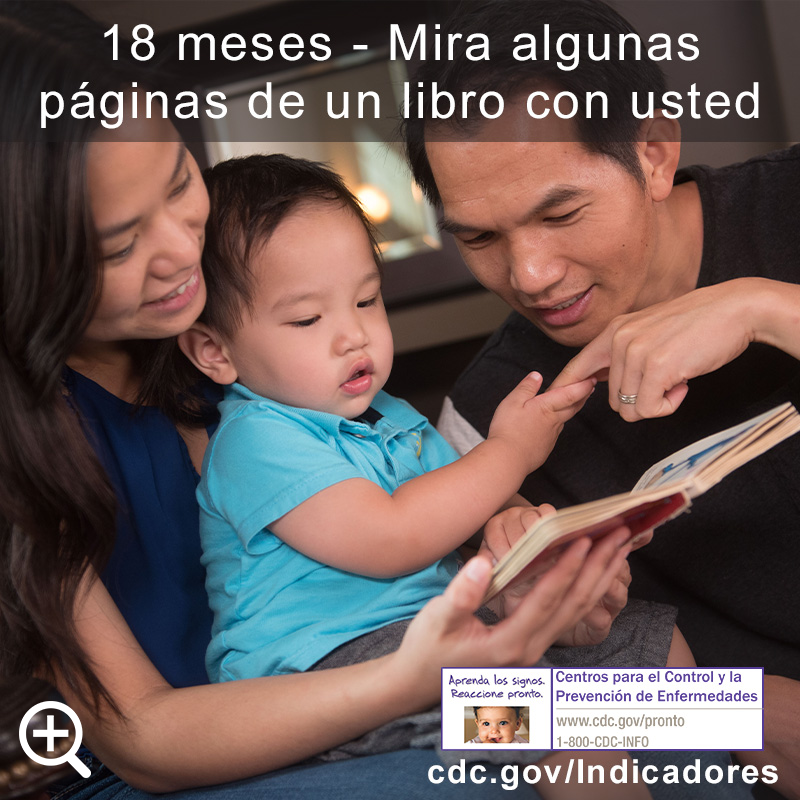 Mira algunas p&aacute;ginas de un libro con usted