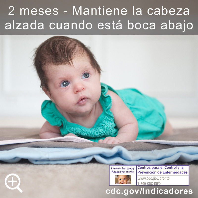 Mantiene la cabeza alzada cuando est&aacute; boca abajo