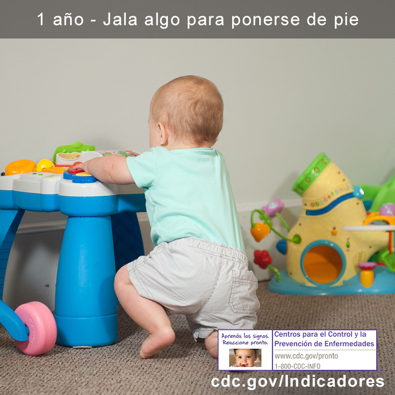Jala algo para ponerse de pie 1