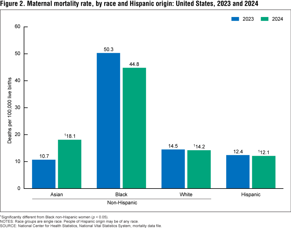 Figure 2 is a bar chart of the maternal mortality rate by race and Hispanic origin in the United States in 2023 and 2024. Figure 2 is a bar chart of the maternal mortality rate by race and Hispanic origin in the United States in 2023 and 2024.