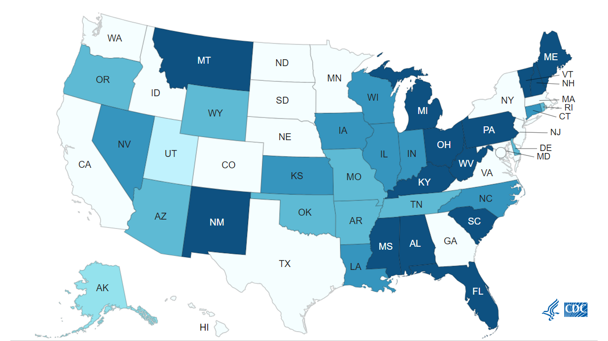 Natality and Mortality Trends in the U.S., 2000–2024