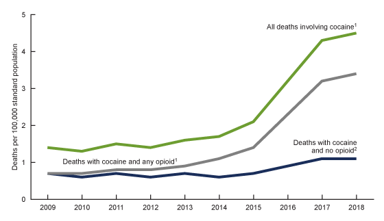 Figure 4 shows the trends in age-adjusted rates of drug overdose deaths involving cocaine from 2009 through 2018 by concurrent involvement of opioids. The increase in the rate of drug overdose deaths involving cocaine with concurrent involvement of opioids is greater than the increase in the rate of drug overdose deaths involving cocaine without concomitant involvement of opioids