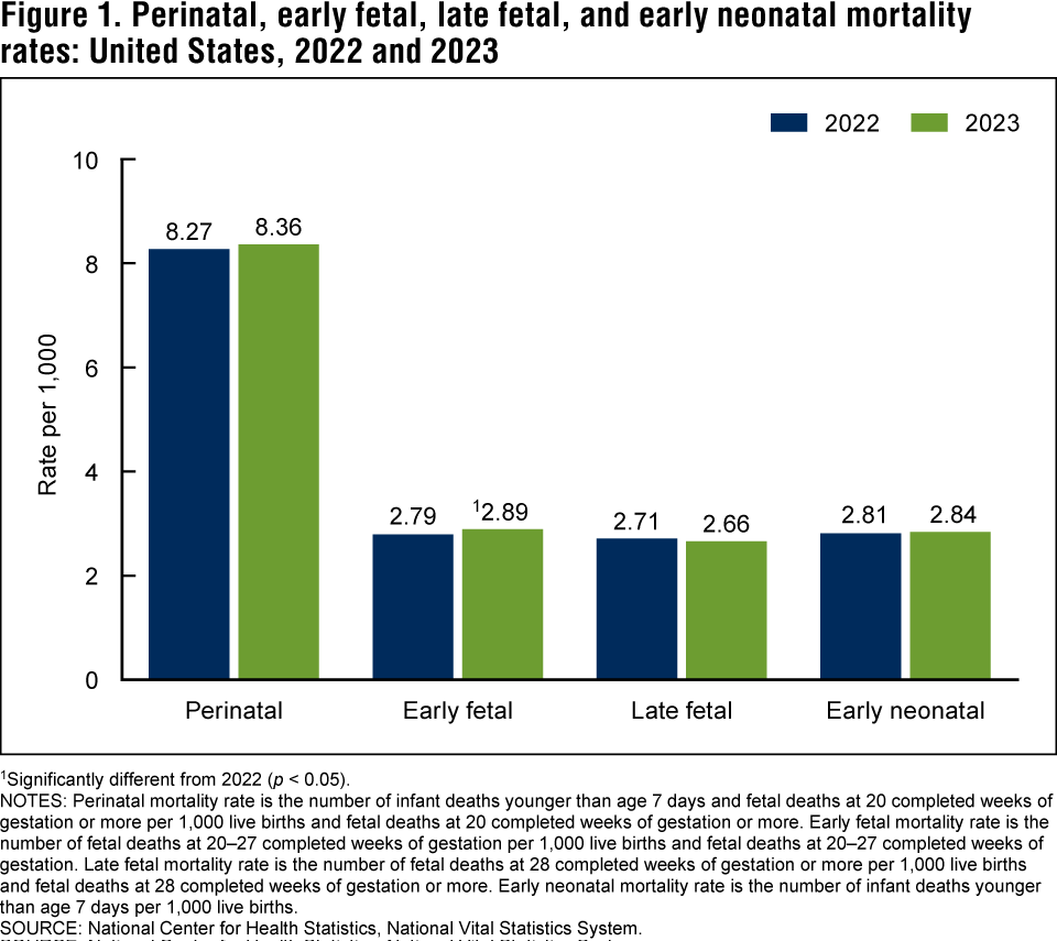 Figure 1 is a bar chart showing perinatal, early fetal, late fetal, and early neonatal mortality rates for the United States for 2022 and 2023.