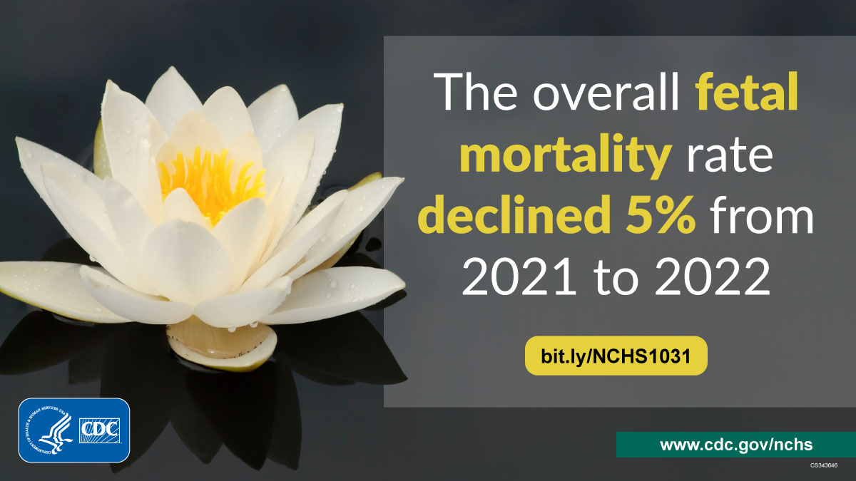 Image of a white flower floating on the water. Text: "The overall fetal mortality rate declined 5% from 2021 to 2022."