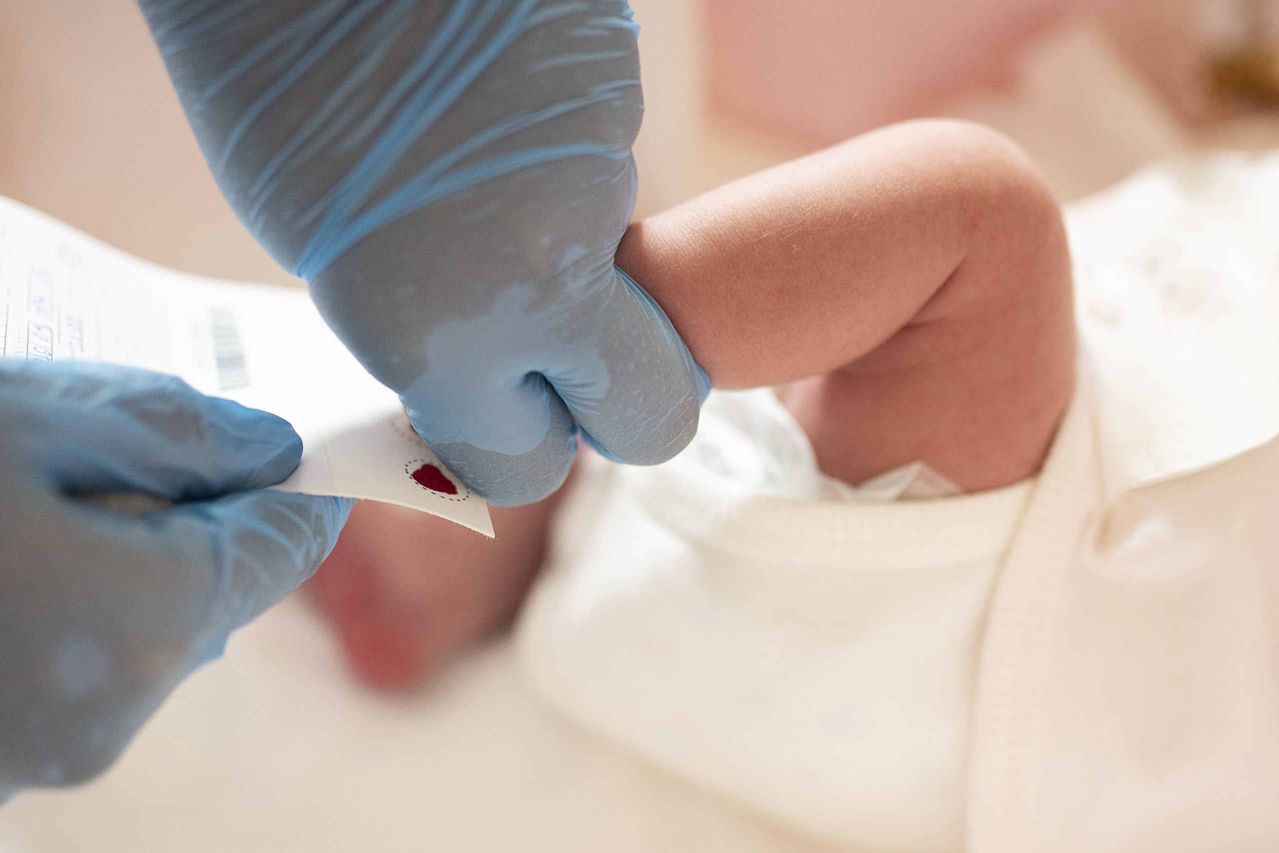 Blood spot testing on newborn An image a blood spot testing on newborn