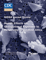 Health Effects of Occupational Exposure to Respirable Crystalline Silica