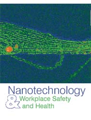 Nanotechnology and Workplace Safety and Health