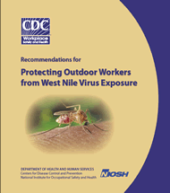2005-155.pdf