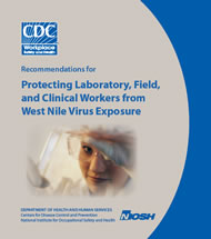 2006-115.pdf