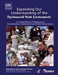 Expanding Our Understanding of the Psychosocial Work Environment
