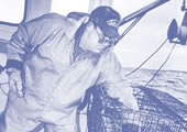 Dangers of Entanglement During Lobstering