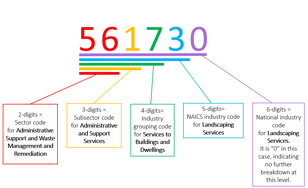 Sector code (least detailed): 56 (Admin support); Subsector code: 561 (admin and support srvcs); ind. grouping: 617 (services to buildings); NAICS ind. code: 56173 (landscape srvcs); National ind. code (most detailed): 561730 (landscape srvcs)