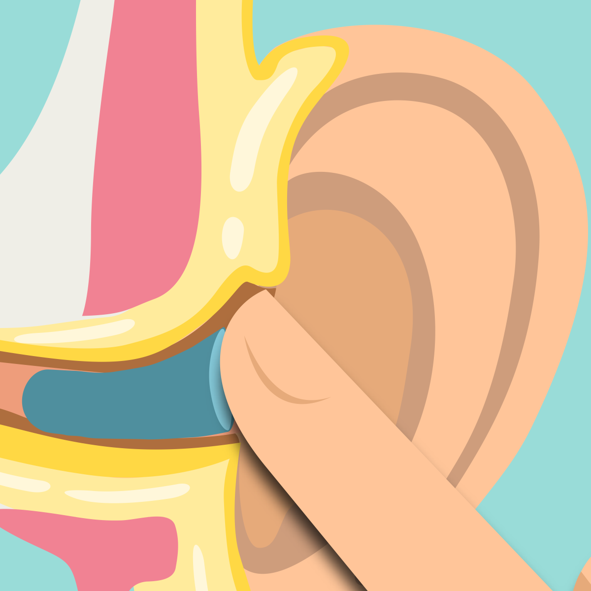 Diagram of Earplug Roll-Pull-Hold step 3: Hold