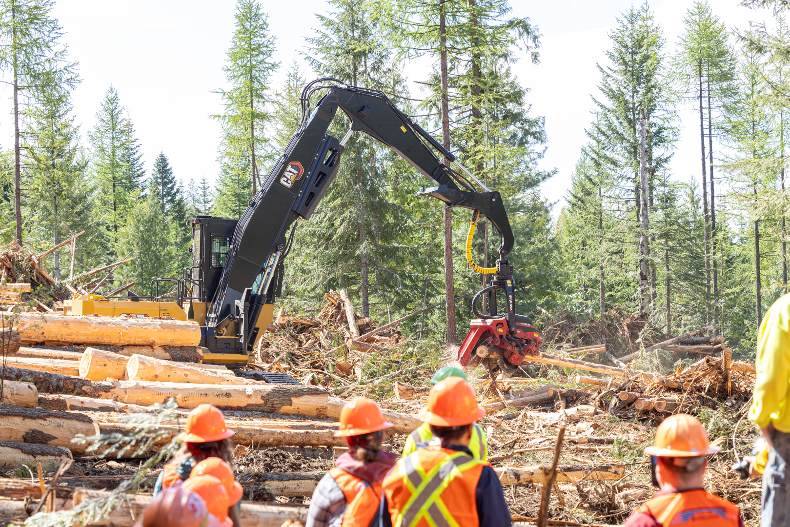Attendees of the 2024 COFE Annual Meeting observe felling and harvesting equipment in action.