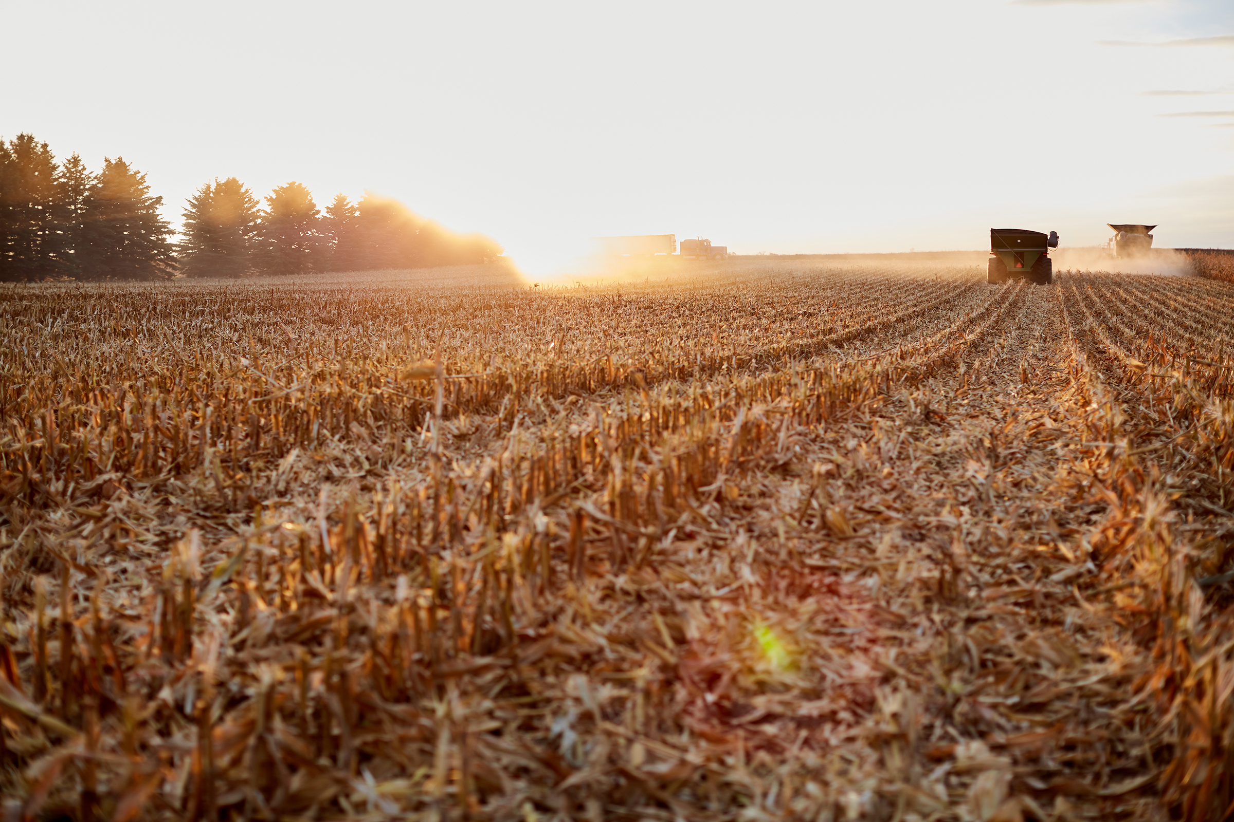 Field being harvested