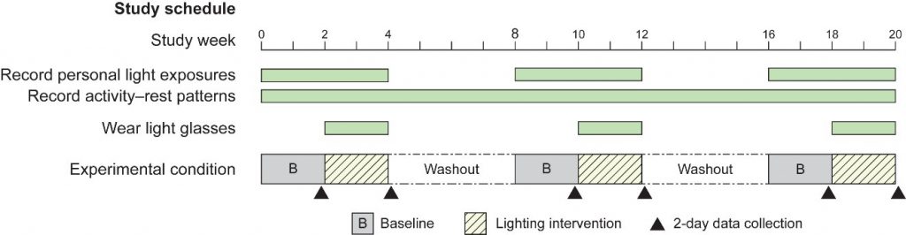Figure 1. The experimental protocol (figure adapted from this journal article).