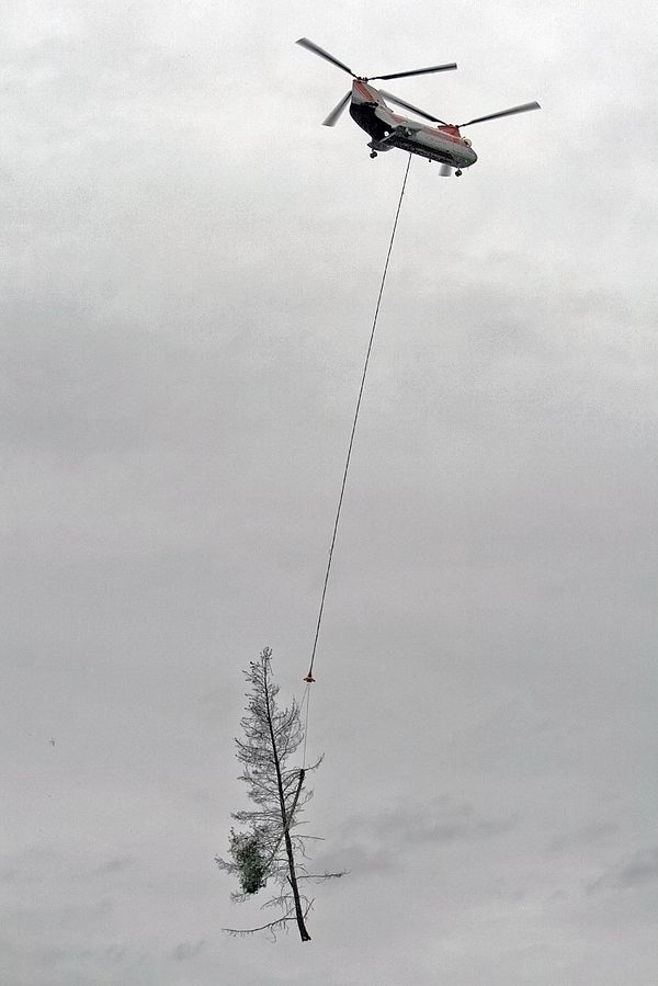 Helicopter logging.