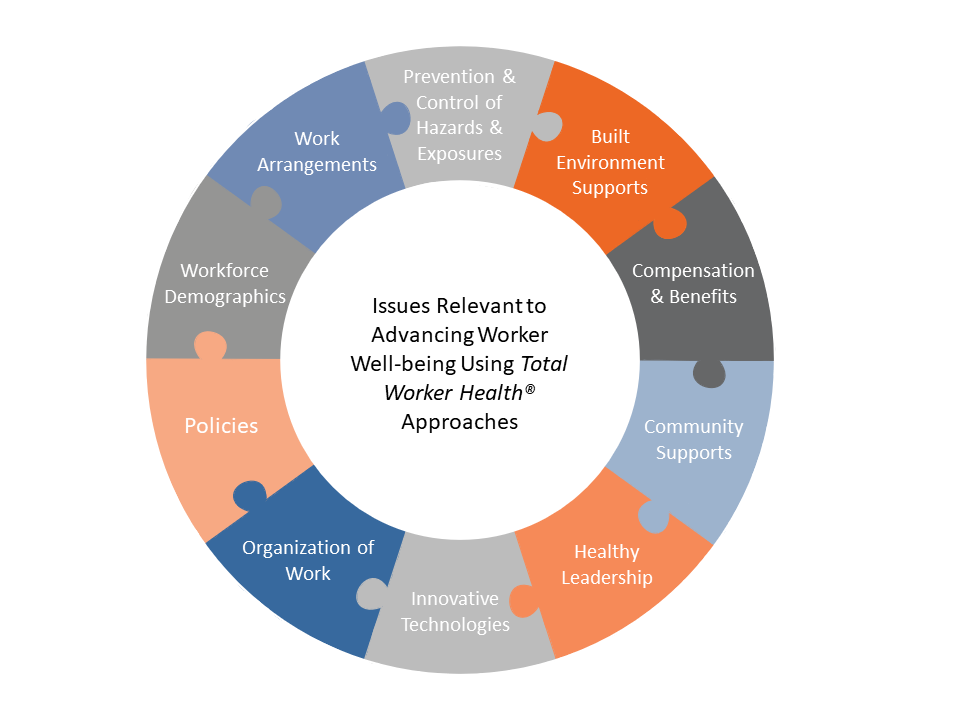 puzzle graphic of total worker health issues