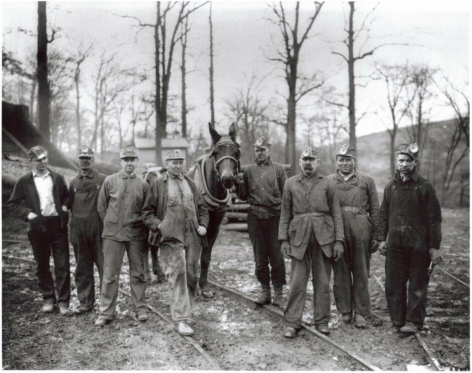 Early in the Pittsburgh site’s history, miners preparing the research mines used donkeys to haul supplies into the mine and pull coal cars out on rail lines.