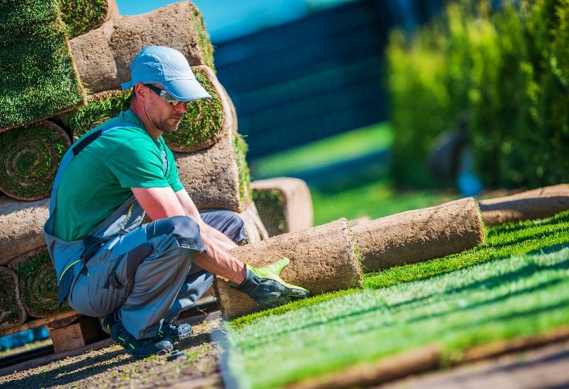 landscape worker laying sod.