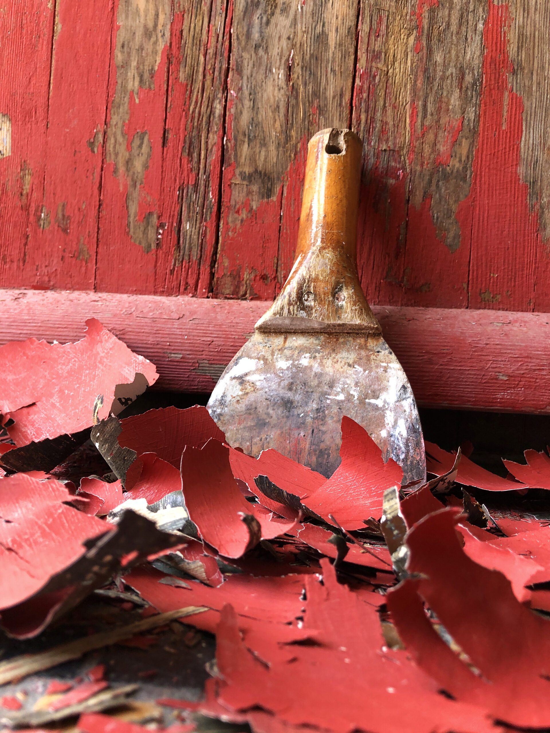 photo of paint scrapper with paint flakes.
