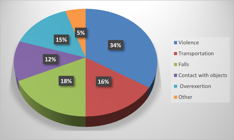 Pie chart summarizing the paragraph above it.