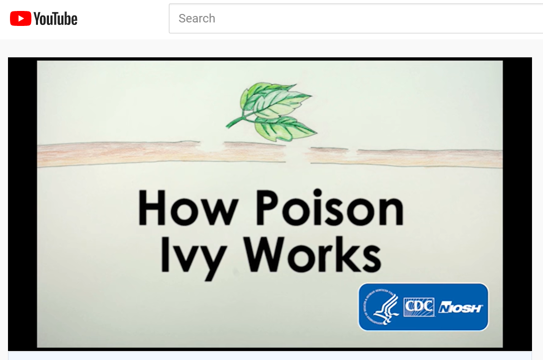 How Poison Ivy Works video screenshot