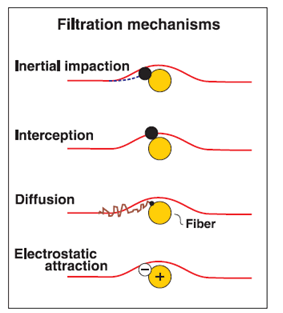 Figure 1: Filtration Mechanisms