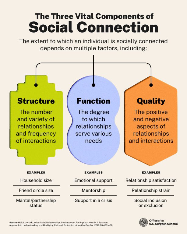 Figure one shows how social connection may be influenced at work and away from work by the structure (e.g., number, variety of and frequency of work and nonwork interactions), function (e.g., supervisor, co-worker, and peer support, mentorship), and quality of social relationships (e.g., degree of positive work and nonwork relationships and interactions).