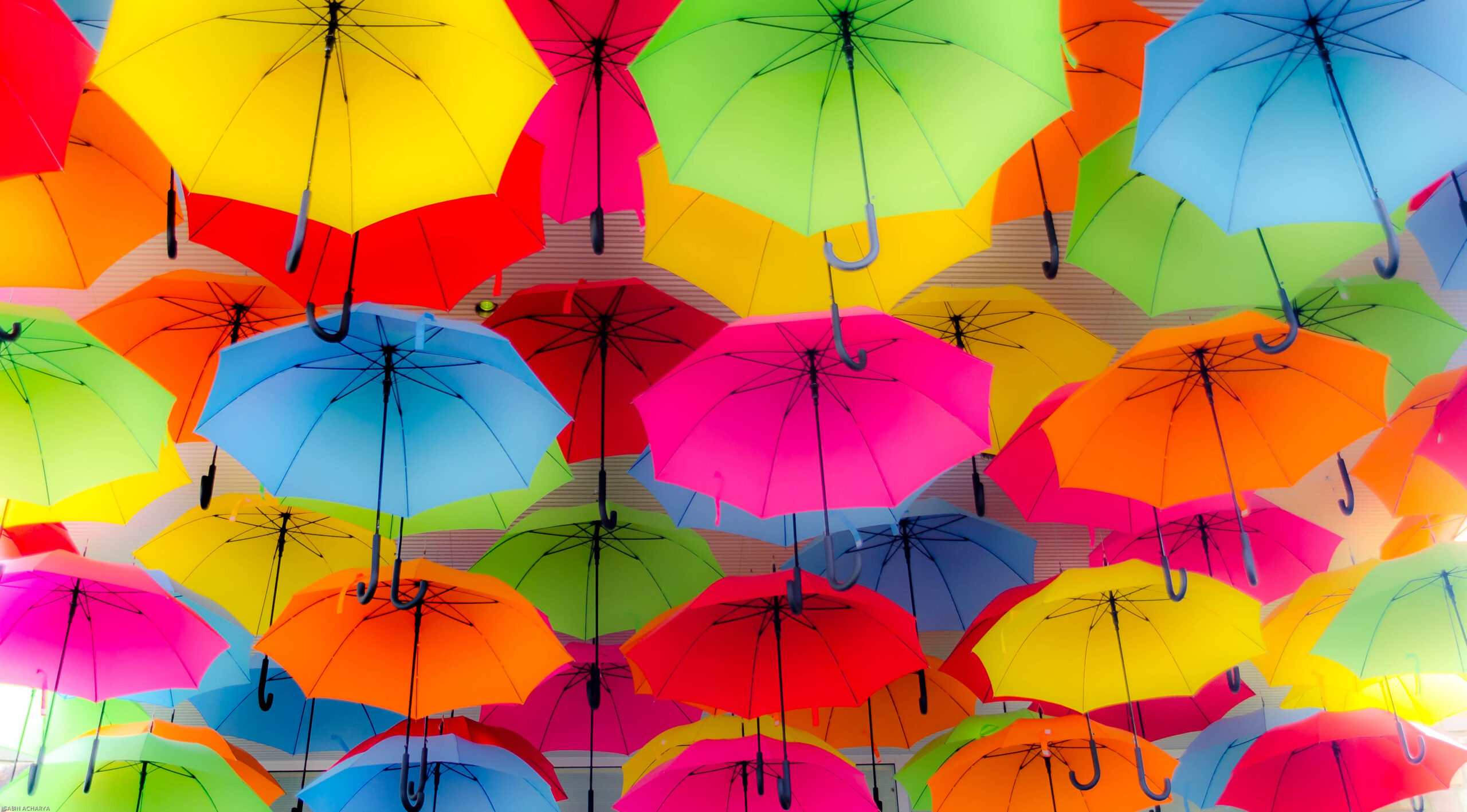 photo of multiple colorful umbrellas