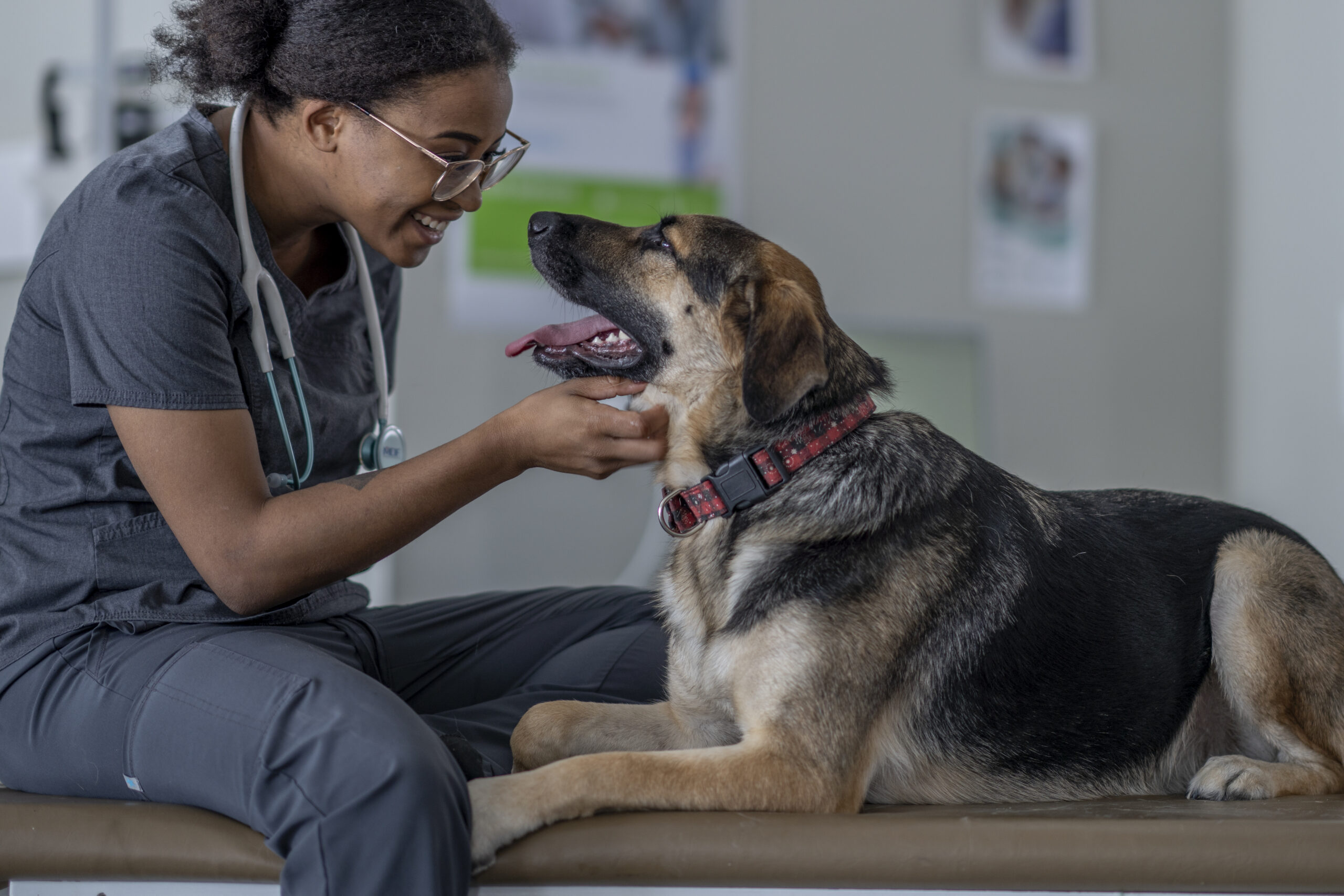 A woman in scrubs interacting with a dog.