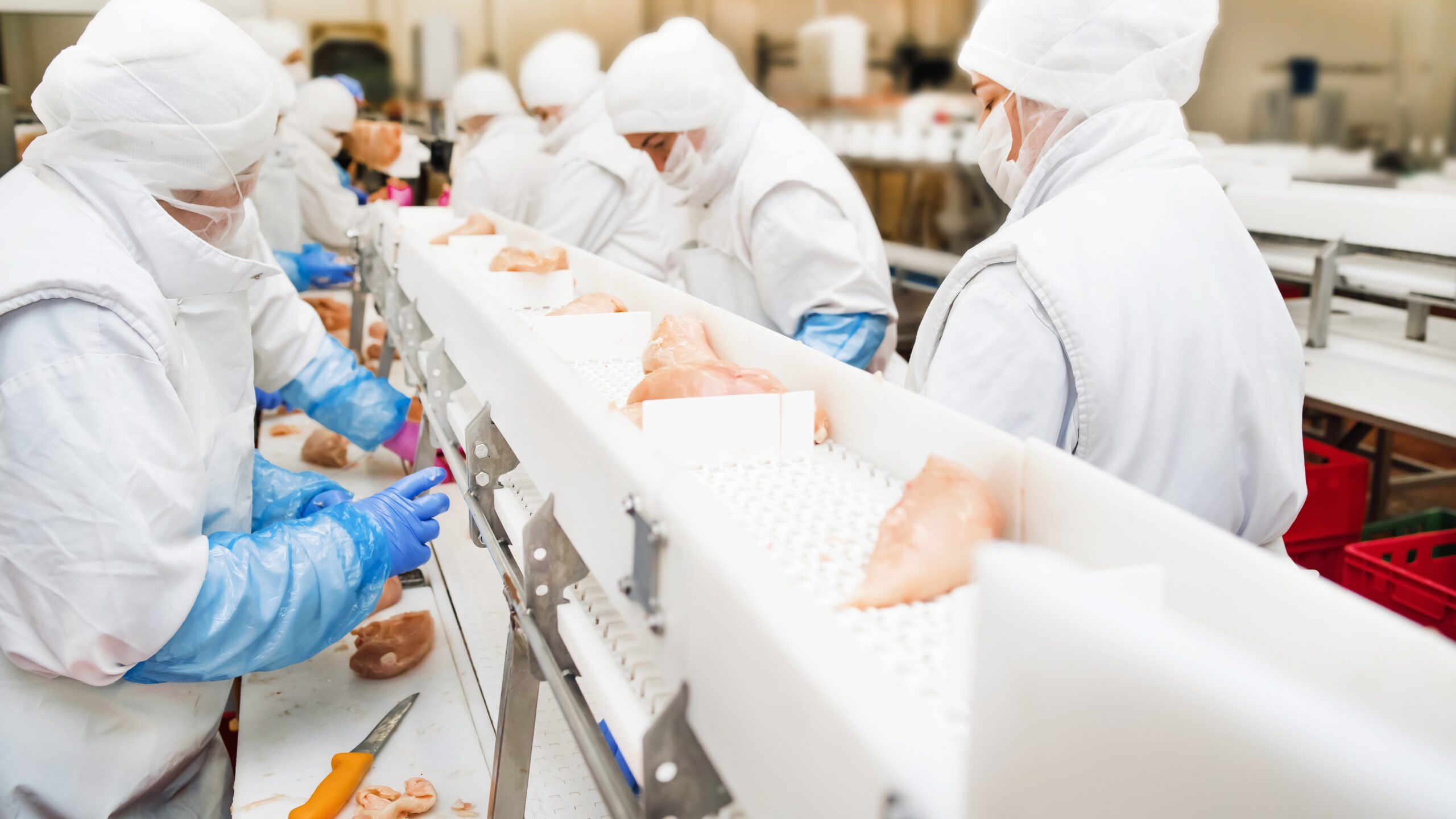 People standing in a chicken processing line, wearing gloves, masks, body coverings, and using knives to process parts.