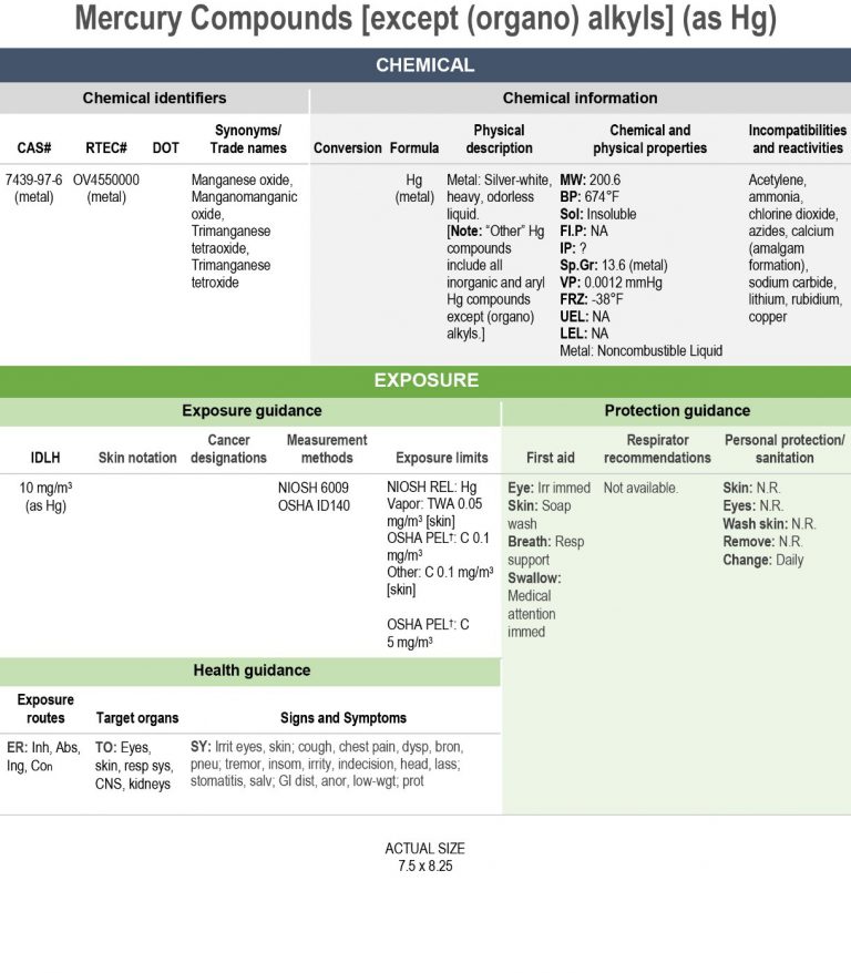Alternative Version 1 NPG Page Layout
