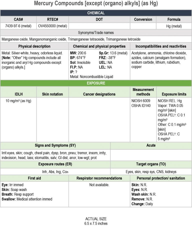 Alternative Version 2 NPG Page Layout