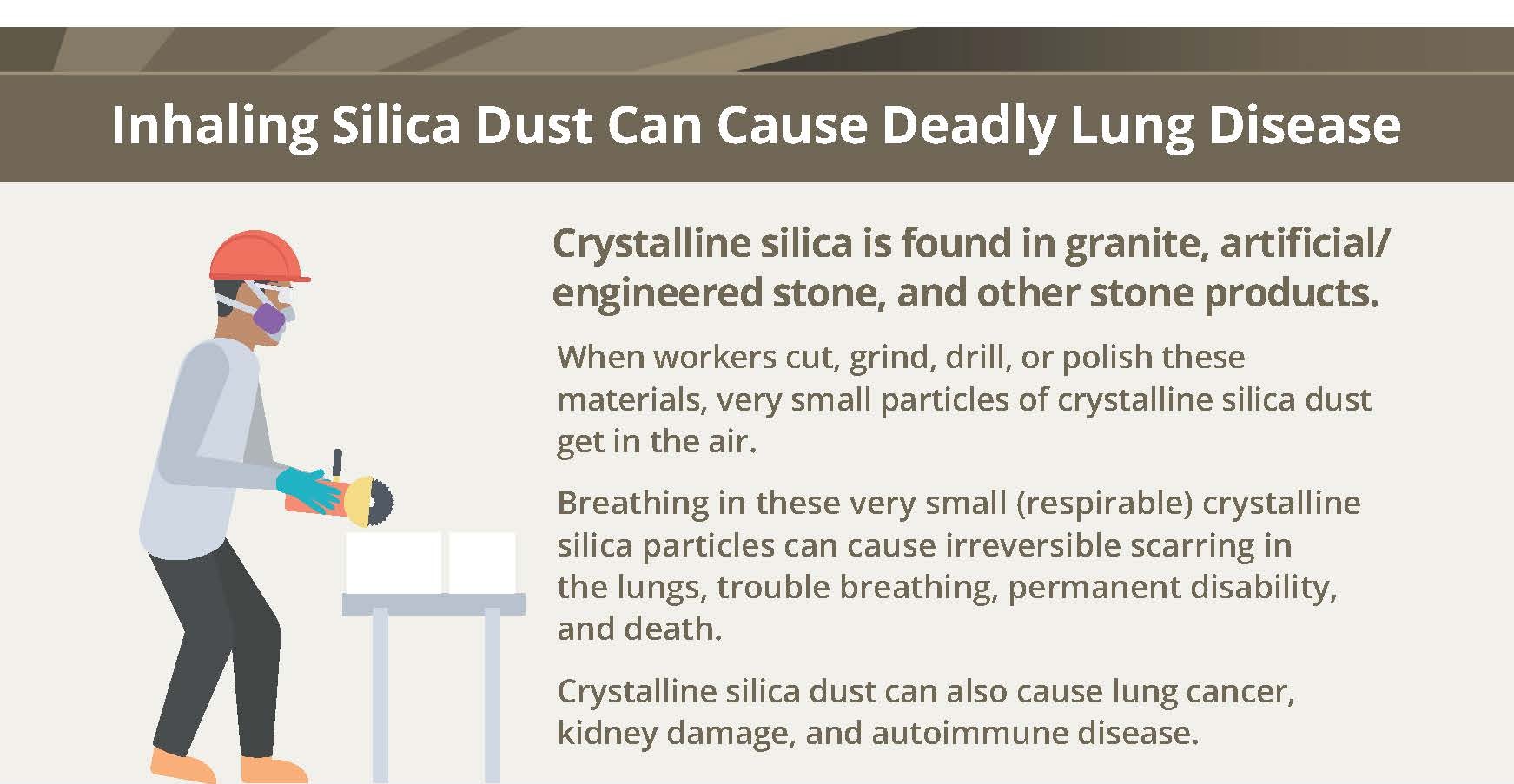 silica inforgraphic