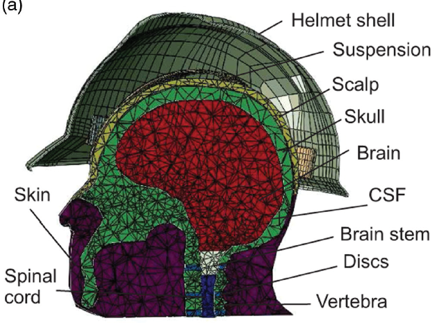Finite element model of the Head and helmet