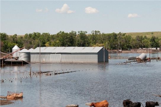 flood