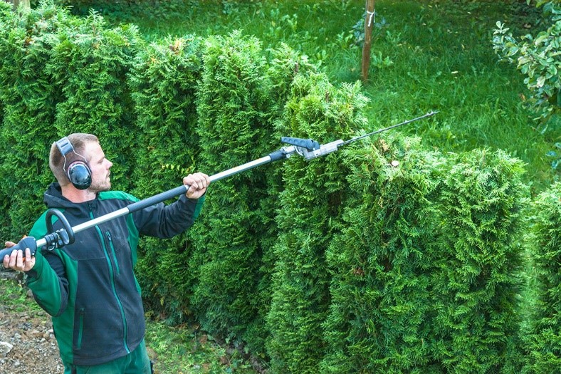 worker trimming hedges wearing hearing protection.