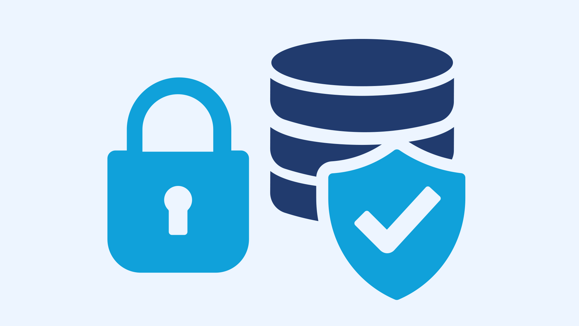 data privacy logo