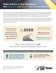 Older drivers in the workplace factsheet image