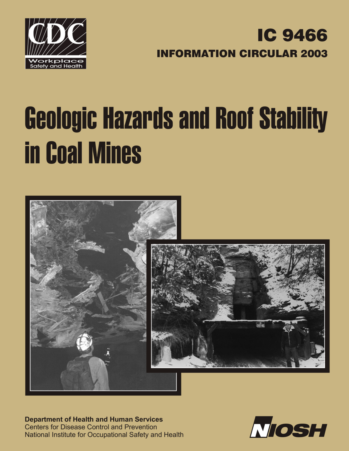 Screenshot of the first page of "Geologic Hazards And Roof Stability In Coal Mines"