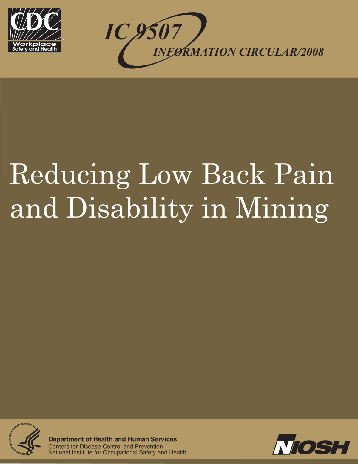 Screenshot of the first page of "Reducing Low Back Pain and Disability in Mining"