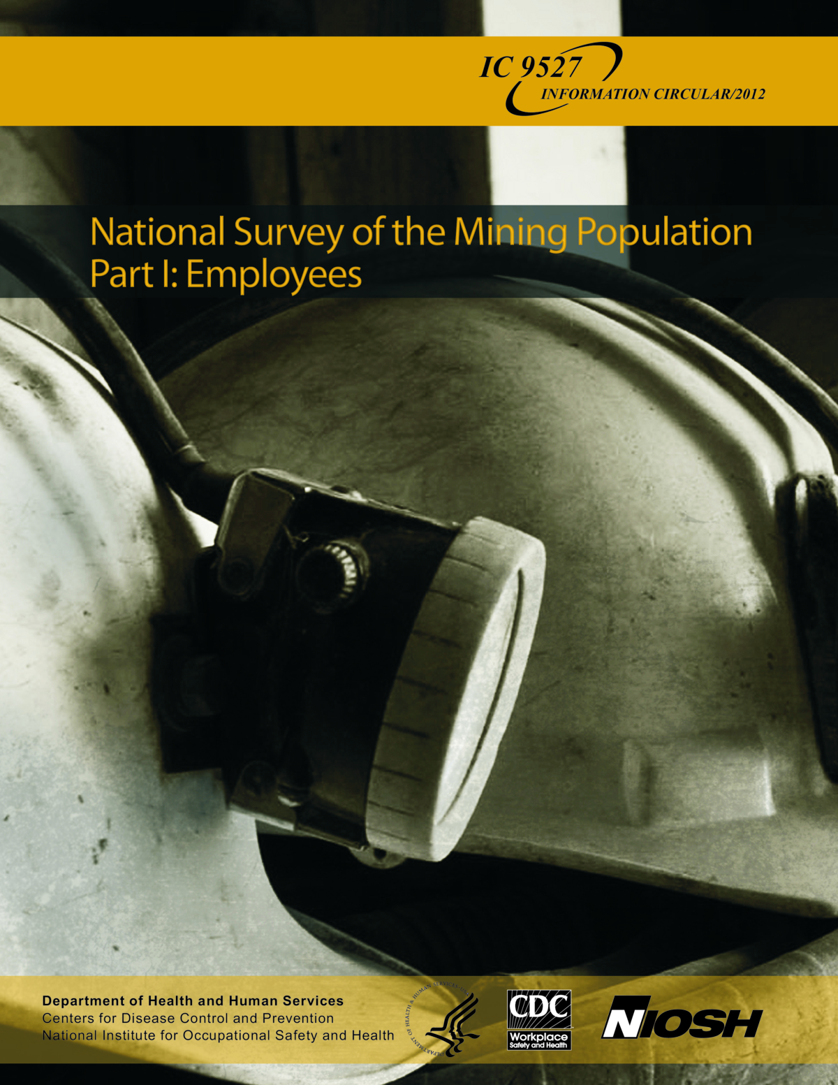 Screenshot of the first page of "National Survey of the Mining Population: Part I: Employees"