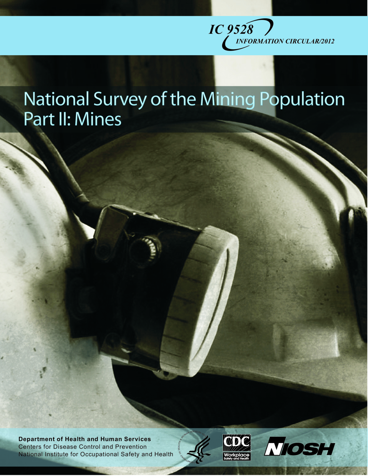 Screenshot of the first page of "National Survey of the Mining Population: Part II: Mines"
