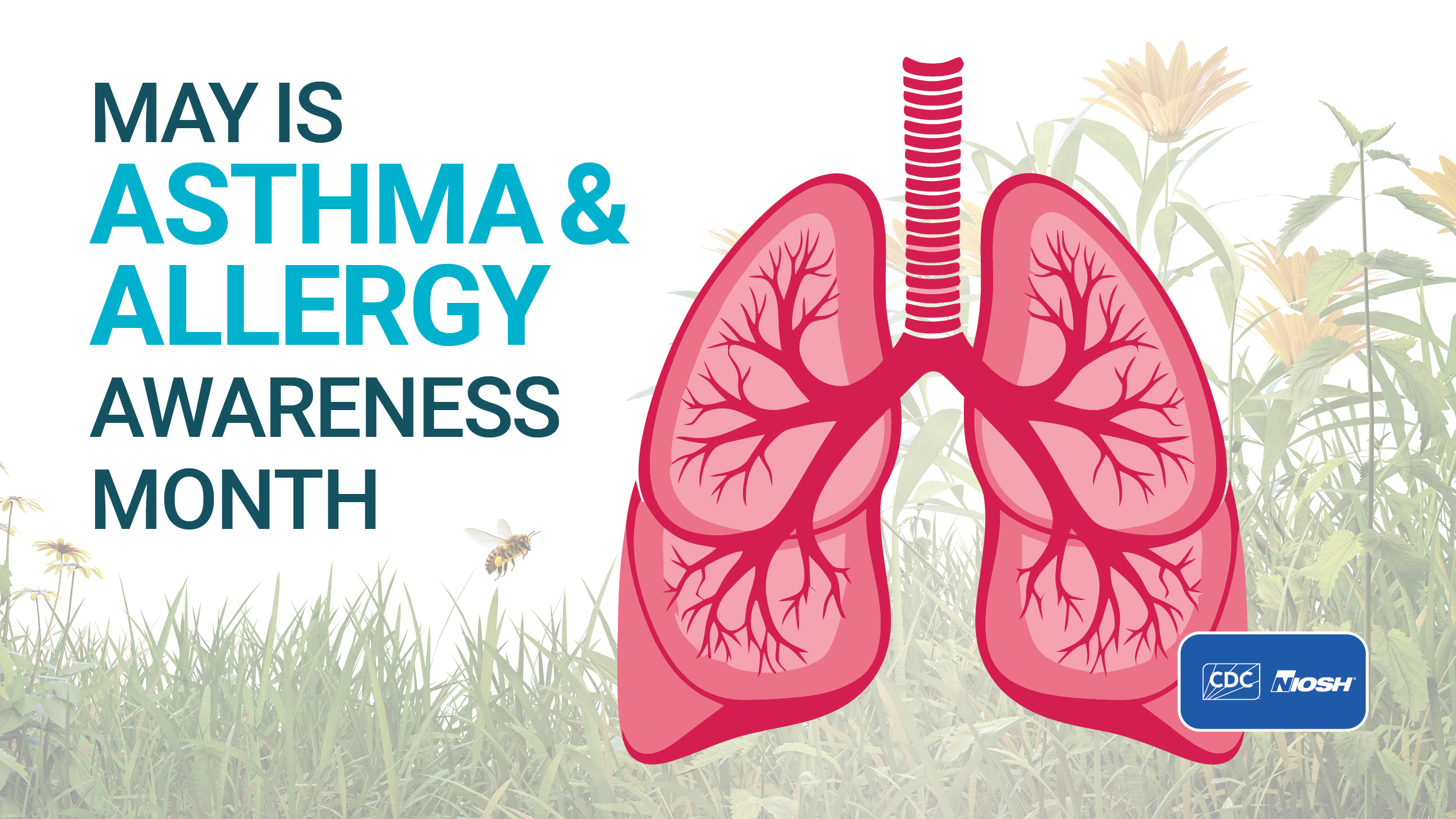 Asthma awareness month