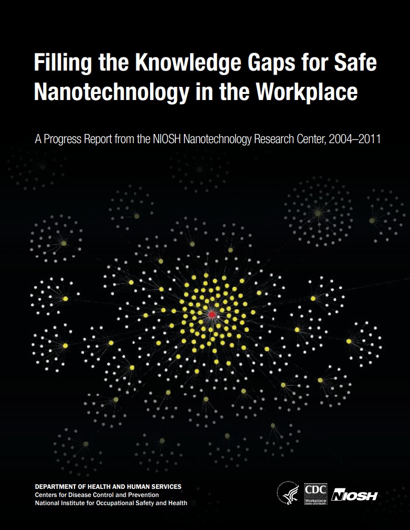 Filling the Knowledge Gaps for Safe Nanotechnology in the Workplace
