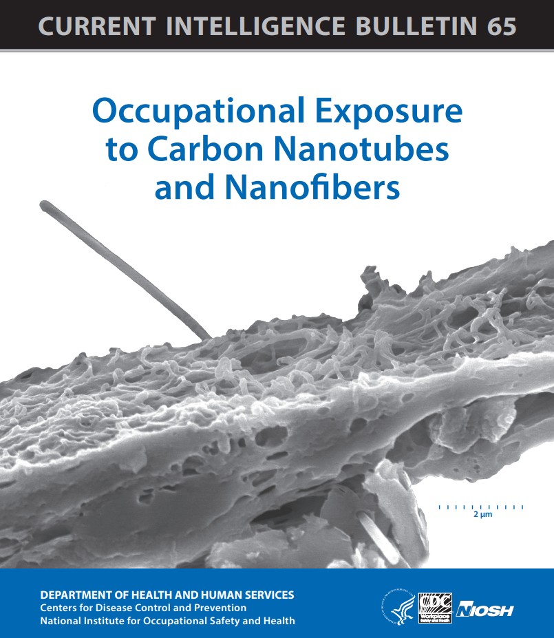 Current Intelligence Bulletin 65: Occupational Exposure to Carbon Nanotubes and Nanofibers