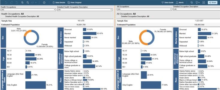 Dashboard screenshot of demographic characteristics of health workers.