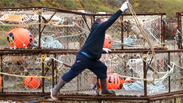 A commercial crab fisherman reaches for a swinging line while working on crab pots in Dutch Harbor, AK. Photo by NIOSH